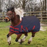 Cosy Pony Standard Medium Lite Standard Turnout