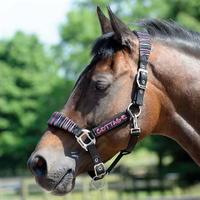 Cottage Craft Craft Candy Stripe Headcollar