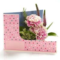 CP Vintage Pink