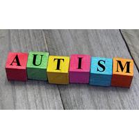 CPD Certified Autism Awareness Diploma