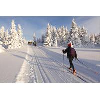 Cross-Country Ski Rental in Lake Tahoe
