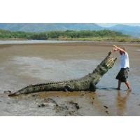 crocodile man tour from jaco