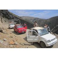 Crete 4x4 Safari Including Preveli Palm Beach and Kourtaliotiko Gorge