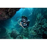 Crete Small-Group Scuba Diving Course from Chania