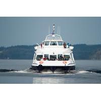 cruise the caledonian canal sail on loch ness and view urquhart castle