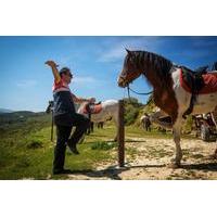 Cretan Horse riding in Finikia and Giouchtas Mountains