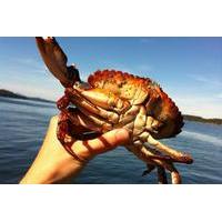 crab fishing tour in vancouver