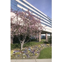 Crowne Plaza St. Louis Airport