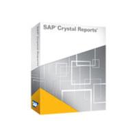 Crystal Reports 2008 - Complete package - 1 named user - CD - Win - Multilingual