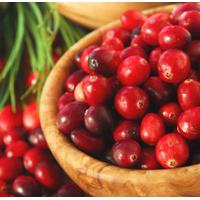 Cranberry Scented Oil 10 ml (In ...