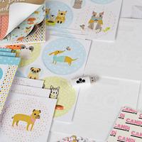 Craftwork Cards Selection - Includes Inspired Illustrations USB, Pampered Pets Collection and Colour Reveal Cards and Envelopes 401122