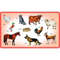 Creative Early Years Play And Learn Domestic Animals Puzzle