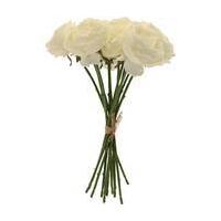 cream tea rose bunch 12 pieces