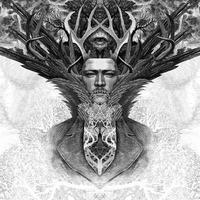 Crown By Dan Hillier