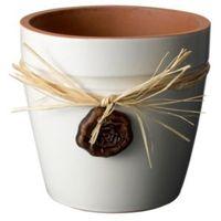 Cream Plant Pot (H)14cm (Dia)15cm