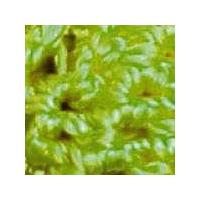 Crochet Beads. Lime Green. Pack of 10