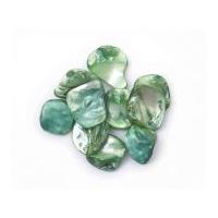 Craft Factory Polished Shell Beads Green