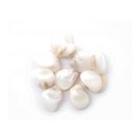 Craft Factory Polished Shell Beads Ivory