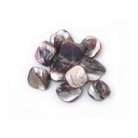 Craft Factory Polished Shell Beads Oyster