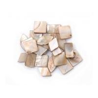 Craft Factory Shell Assorted Shape Beads Bone