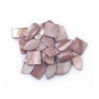 Craft Factory Shell Assorted Shape Beads Oyster