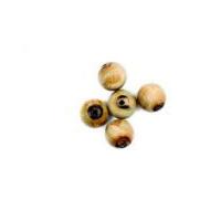 Craft Factory Natural Horn Craft Beads