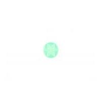 Crendon Star Engraved Baby Buttons Mint Green