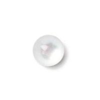 Crendon Glossy Pearl Shank Buttons White