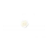 Crendon Pretty Carved Flower Buttons 18mm Cream