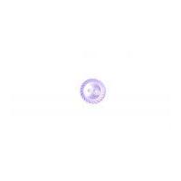 Crendon Round Pretty Patterned Rim Buttons 16mm Lilac