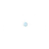 Crendon 2 Hole Flower Shape Buttons 11mm Pale Blue