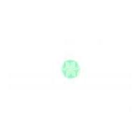 Crendon Star Engraved Baby Buttons Mint Green