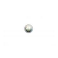 crendon plastic round domed buttons 20mm dull brushed silver