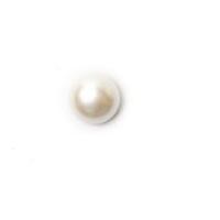 crendon round pearl buttons 9mm white