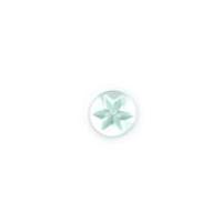 Crendon Star Engraved Baby Buttons Green