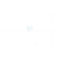 Crendon Round Transparent Fish E...