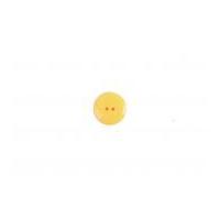 Crendon Round 2 Hole Glossy Smartie Buttons Yellow