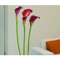 creative wall art stickers large arum lily sticker 160817