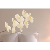 Creative Wall Art Stickers Large Orchid Sticker, 160820