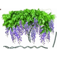 Creative Wall Art Stickers Large Wisteria sticker, 160814