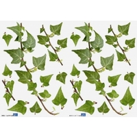 Creative Wall Art Stickers Small Ivy stickers, 157009