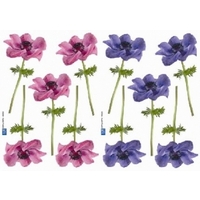 Creative Wall Art Stickers Small Anemones stickers, 157008