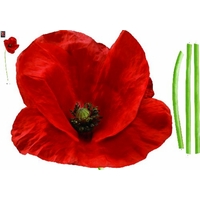 creative wall art stickers large poppy sticker 160831