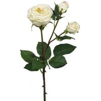 Cream Single Stem Rose with Open Buds Flower (Set of 3)