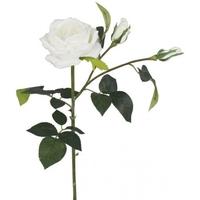 Cream Real Touch Single Stem Cabbage Rose (Set of 3)