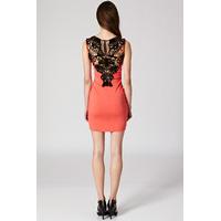 Crochet Back Bodycon Dress