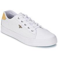 creative recreation kaplan mens shoes trainers in white