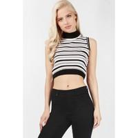 CROP STRIPE ROLL NECK JUMPER