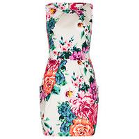 Cream Multi-Coloured Floral Print Structured Dress