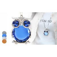 Crystal Owl Long Chain Necklace - 4 Colours!